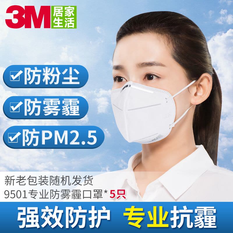3M 防护口罩9501 防雾霾PM2.5 防尘口罩 KN95耳带式 2包装 5只/包 共10只图片