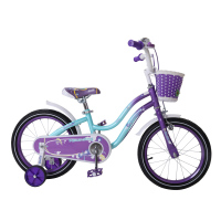 兰Q自行车baby公主系列14/16寸卡通儿童自行车 优雅多色 紫色 16寸