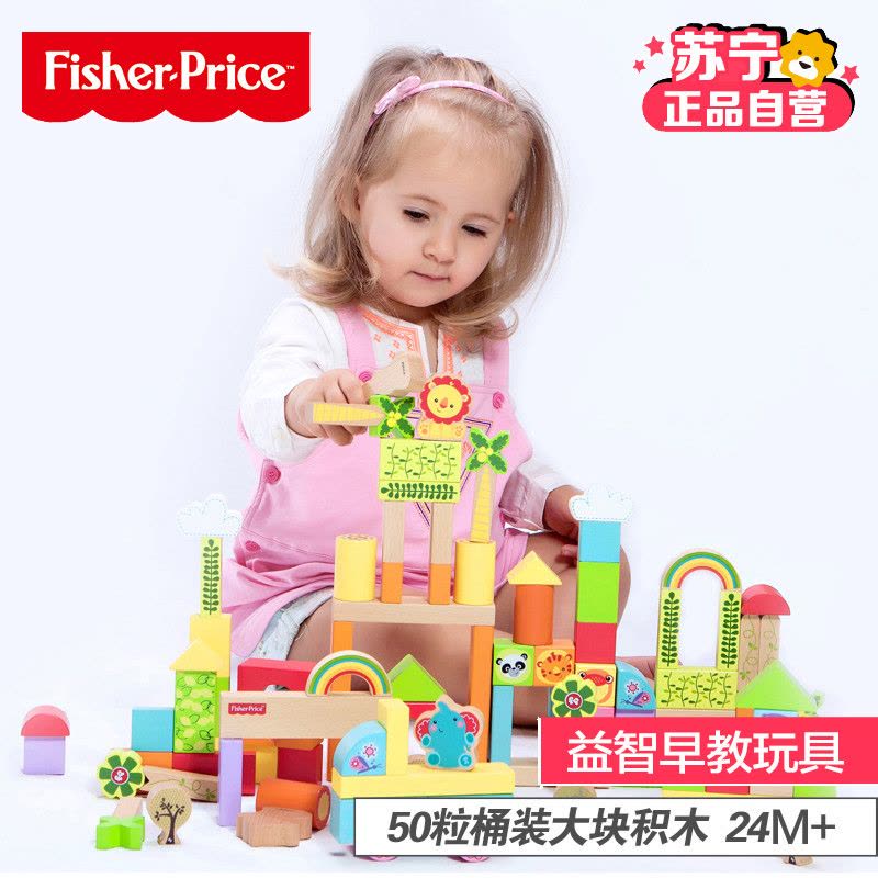 费雪100粒森林木制启蒙木玩儿童宝宝益智积木玩具2-6周岁男孩女孩FP6004B图片