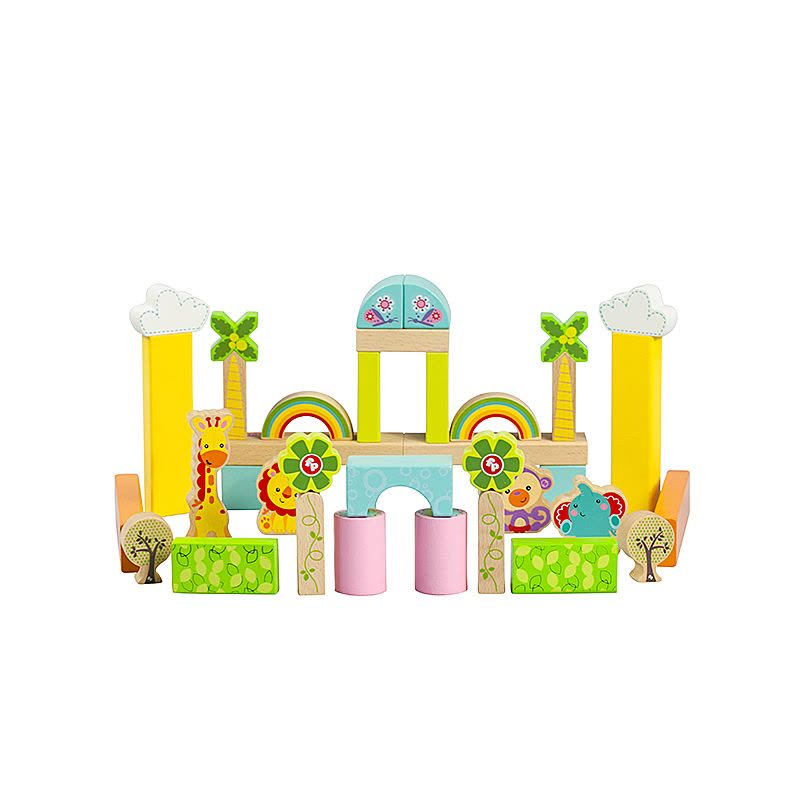费雪100粒森林木制启蒙木玩儿童宝宝益智积木玩具2-6周岁男孩女孩FP6004B图片