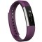 Fitbit Alta FB406PML 智能健身手环 紫色 L