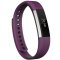 Fitbit Alta FB406PML 智能健身手环 紫色 L