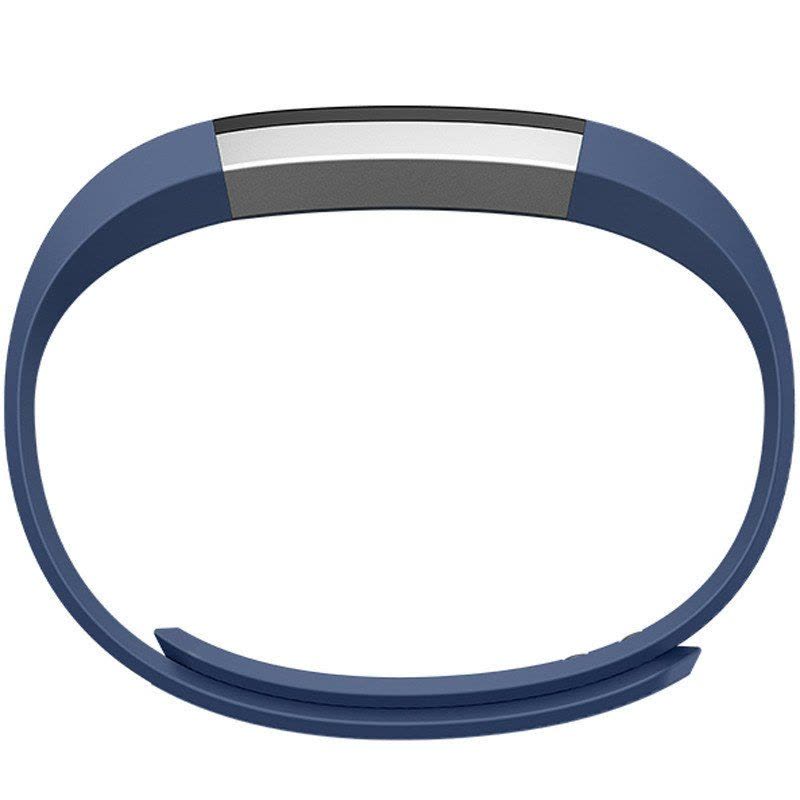 Fitbit Alta FB406BUL 智能健身手环 蓝色 L图片