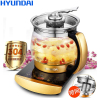 现代(HYUNDAI) QC-YS1822 养生壶全自动加厚电玻璃煎药壶多功能中药花茶煮茶器 1.6L