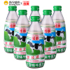 国农 麦胚芽味牛乳饮品 240ml*6瓶 中国台湾地区进口饮料