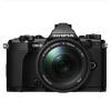 奥林巴斯(OLYMPUS)E-M5 Mark II(14-150mm II) 微型单电套机(1610万像素 可翻转触摸屏
