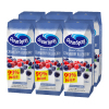 Ocean Spray 优鲜沛 蓝莓苹果葡萄复合果汁饮料250ml*6