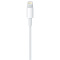 Apple Lightning to USB 连接线 原装 充电线 数据线 1 米