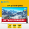 暴风TV/BFTV 50B2 50英寸分体电视 4K分体可升级玫瑰金 金属机身智能液晶平板电视