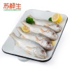 [苏鲜生]墨西哥小黄鱼550g(4条/包)