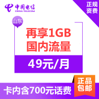 山东电信流量无限卡 4G电话卡手机卡 49元享省内流量不限量+1000分钟通话+1GB国内流量