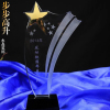 达利尔 步步高升奖杯 (个)
