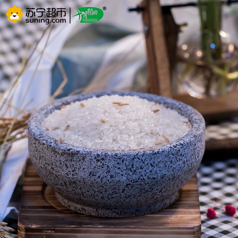 十月稻田 五常香米 东北大米 5kg 五常大米 米饭 煮粥图片