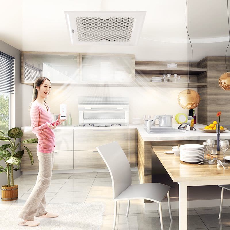 奥普凉霸BC10-2D 厨房卫生间电风扇 嵌入式吸顶式普通吊顶吹风扇图片