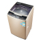 七星（sevenstars）XQB80-DJ1558L 8公斤大容量洗衣机 家用全自动波轮 仿生手搓洗 波轮洗衣机