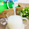 九日冰祖牛奶味碳酸饮料500ml*4 韩国进口苏打水饮料