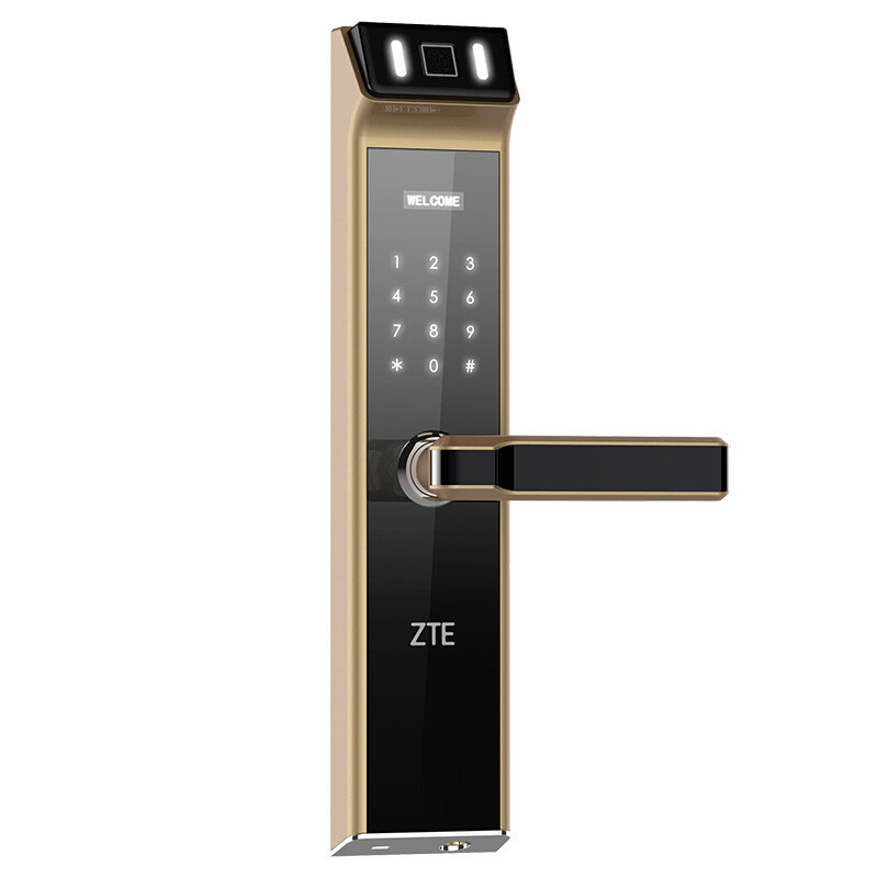 中兴(ZTE)HL636智能门锁防盗门大门木门别墅家用指纹密码磁卡电子锁远程手机app