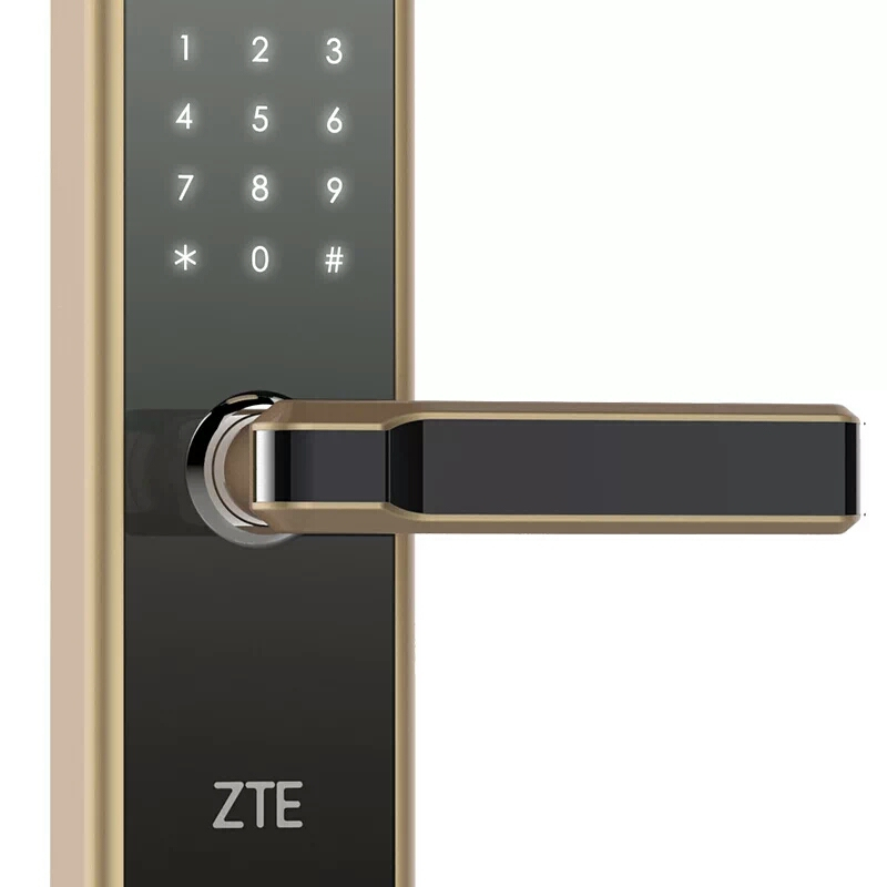 中兴(ZTE)HL636智能门锁防盗门大门木门别墅家用指纹密码磁卡电子锁远程手机app