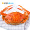 海洋岛HAIYANGDAO 斯里兰卡进口飞蟹 3只装(250g-300g/只 )冷冻梭子蟹 生鲜海鲜水产 袋装 蟹类