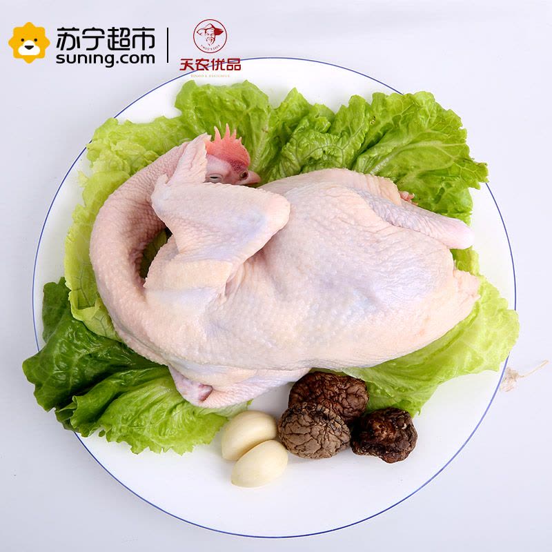 天农优品(TINOO S DELICIOUS) 清远 800优品清远鸡 750g/只 农家散养土鸡新鲜图片