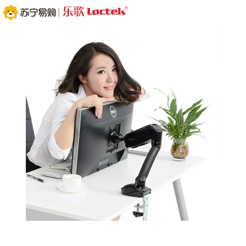乐歌(Loctek)电脑支架 显示器支架D5双USB接口旋转升降免打孔电脑架 显示器支架臂 366*335*115 MM
