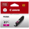 佳能(Canon) PGI-850/CLI-851打印机墨盒黑色适用MX928、iP7280、iP8780、iX6780