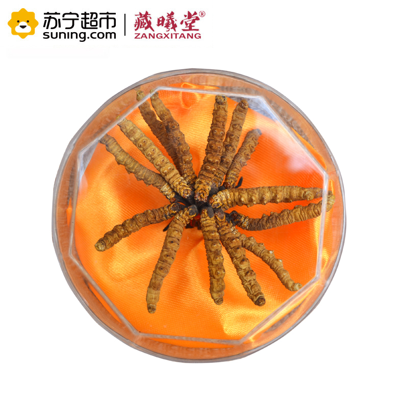 藏曦堂(ZANGXITANG) 冬虫夏草 西藏那曲虫草2根1克 高海拔虫草 冬虫夏草 盒装 2根1克 内装10g