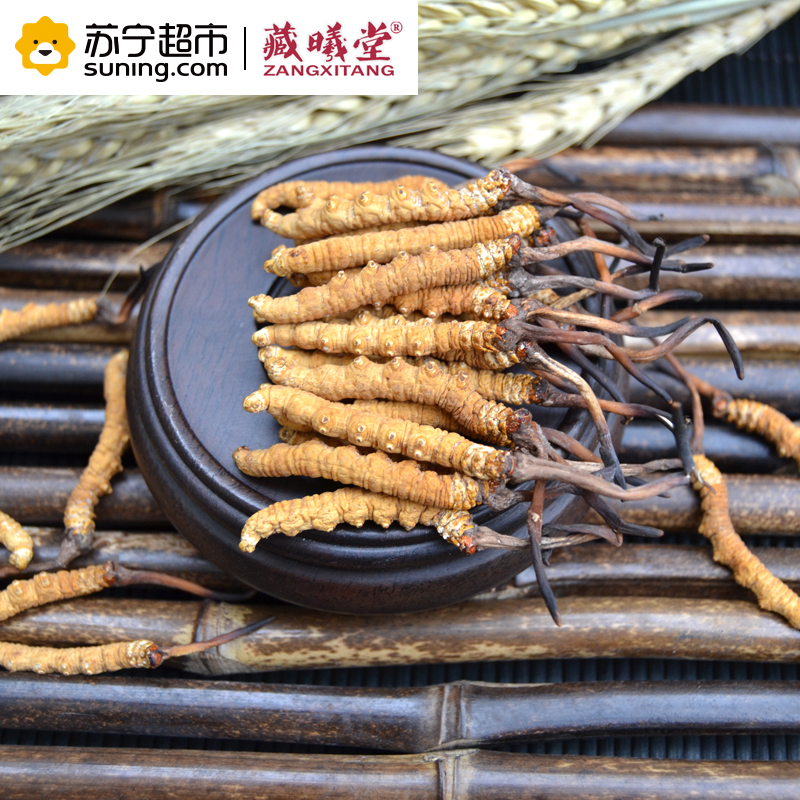 藏曦堂(ZANGXITANG) 冬虫夏草 西藏那曲虫草2根1克 高海拔虫草 冬虫夏草 盒装 2根1克 内装10g