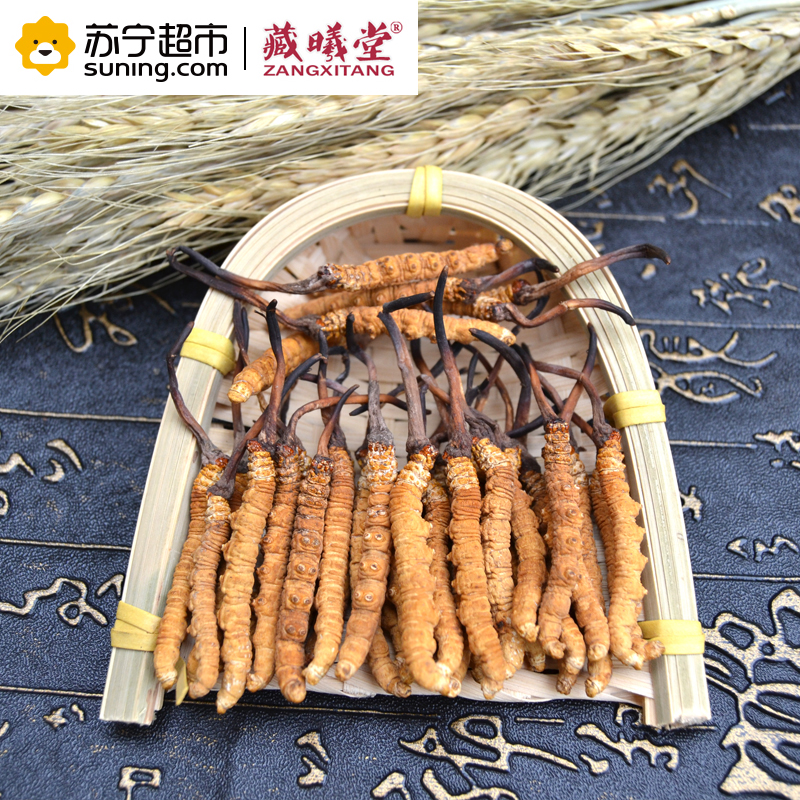 藏曦堂(ZANGXITANG) 冬虫夏草 西藏那曲虫草2根1克 高海拔虫草 冬虫夏草 盒装 2根1克 内装10g