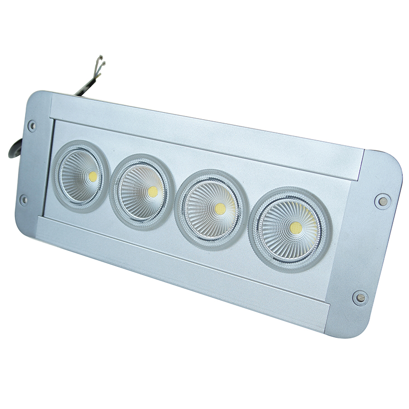 正辉 30w LED 应急低顶灯 NFE9191A-L30 (个)