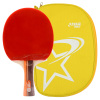 红双喜 DHS二星级横直乒乓板训练乒乓球成品拍 含拍包