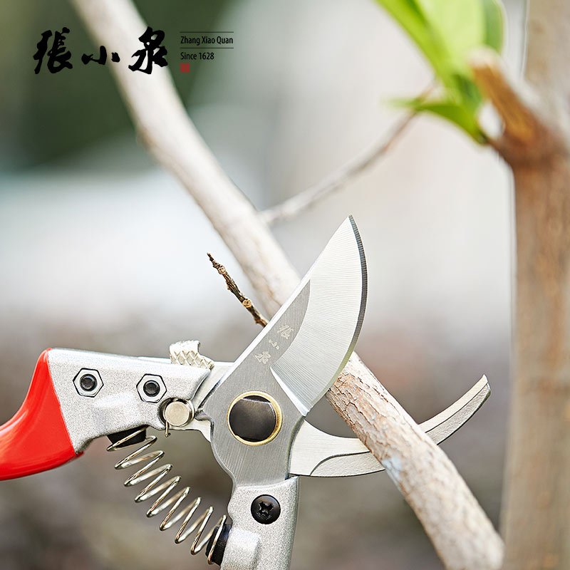 张小泉(ZhangXIaoQuan)S10480100 不锈钢精锐系列整枝剪 园林剪刀园艺剪刀