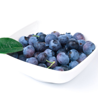 现摘新鲜蓝莓蓝莓鲜果 新鲜水果