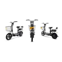 新日(Sunra)电动车灵动系列 小黑豆 48V12AH