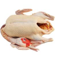 苏众 禽肉类 生鲜鸭 专项定制
