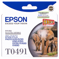 爱普生(EPSON) 墨盒T0491-T049 (6色装)