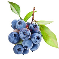 秘鲁进口水果进口蓝莓125克一盒 两盒装 新鲜水果