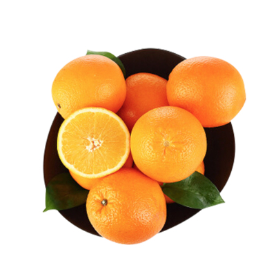 五丰 南非橙 12个装 单果约180-220g 新鲜水果
