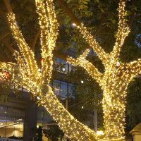 东龙浩宇led小彩灯150米1500灯串灯满天星圣诞装饰灯七彩变色星星灯