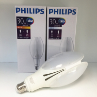 飞利浦(Philips)LED 庭院灯泡灯泡 E17 30W JH