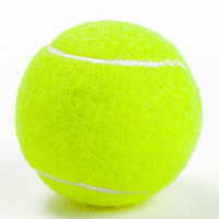 攀能 网球训练网球 网球 JH