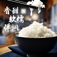 大米生态稻花香大米10kg
