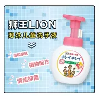 日本进口狮王除菌洗手液（一瓶）