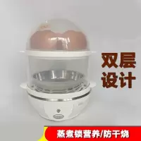 小熊蒸蛋器ZDQ-206不锈钢蒸蛋器多功能自动断电 煮蛋器