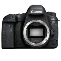 佳能（Canon）EOS 6D2 数码相机专业单反机身 全画幅CMOS 锂电池LP-E6N 约2620万像