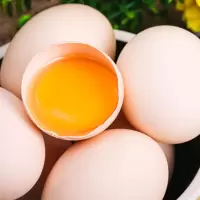 晋唐 鸡蛋30枚/箱