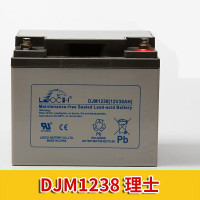 理士蓄电池UPS电池 DJM12V38AH(含上安装)
