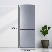 Ronshen/容声 BCD-172D11D双开门小型电冰箱