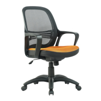 BGY-002 办公电脑椅家用办公椅转椅人体工学椅子时尚升降座椅