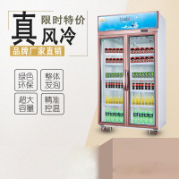冷冻柜 便利店饮料柜商用立式容量500L 立式饮料柜